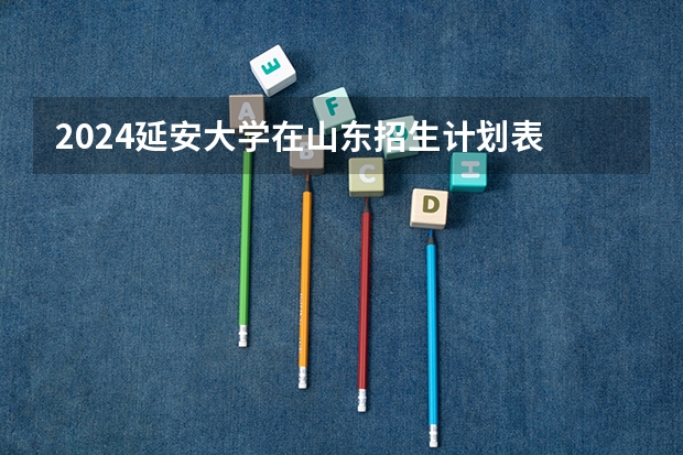 2024延安大学在山东招生计划表