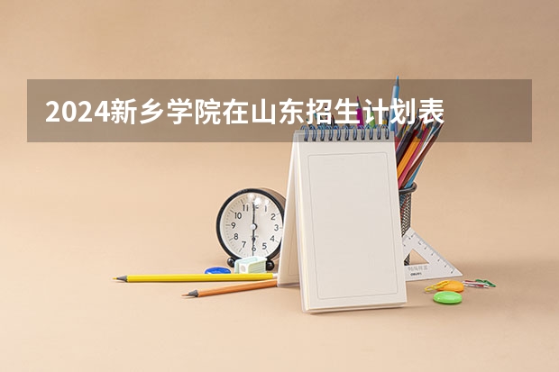 2024新乡学院在山东招生计划表