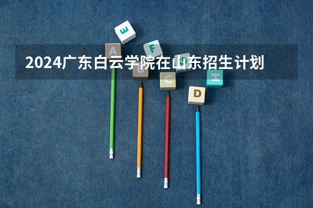 2024广东白云学院在山东招生计划表