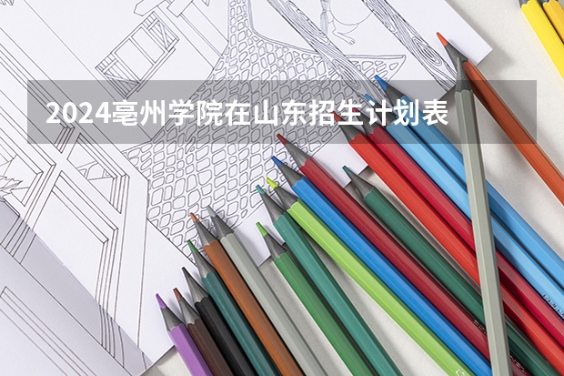 2024亳州学院在山东招生计划表