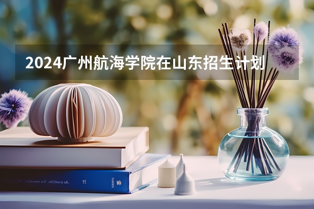 2024广州航海学院在山东招生计划表