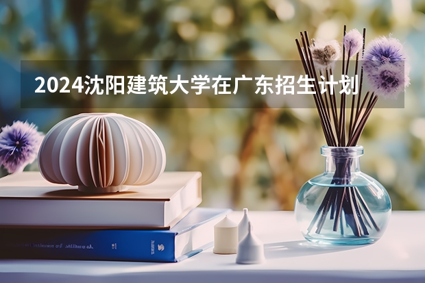 2024沈阳建筑大学在广东招生计划表