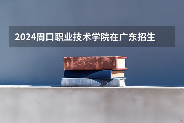 2024周口职业技术学院在广东招生计划表