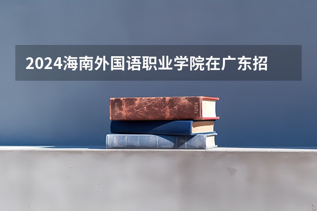 2024海南外国语职业学院在广东招生计划表