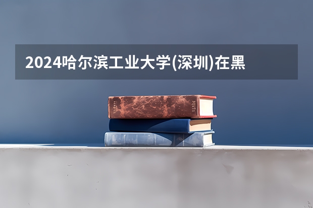 2024哈尔滨工业大学(深圳)在黑龙江招生计划表