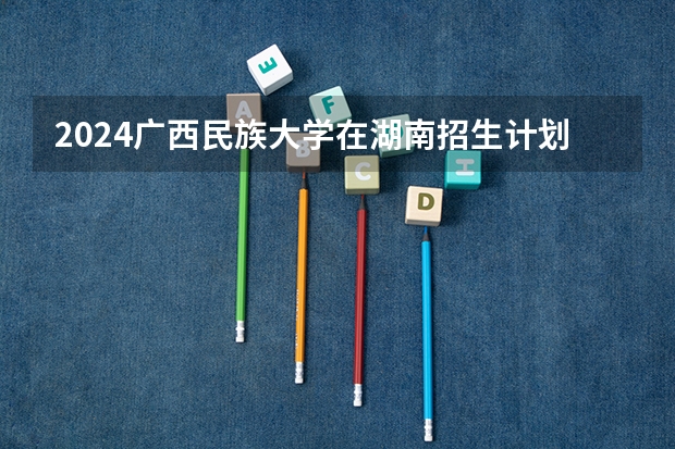 2024广西民族大学在湖南招生计划表