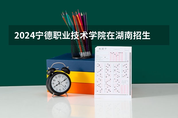 2024宁德职业技术学院在湖南招生计划表
