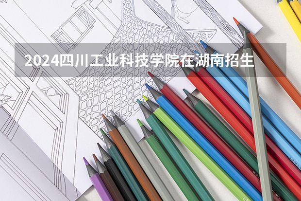 2024四川工业科技学院在湖南招生计划表