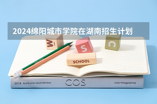 2024绵阳城市学院在湖南招生计划表