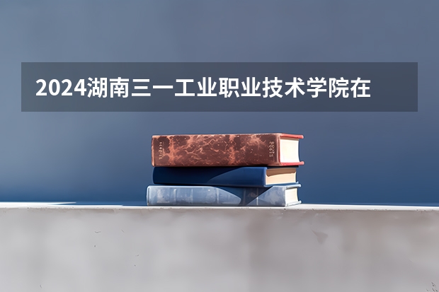 2024湖南三一工业职业技术学院在河南招生计划表