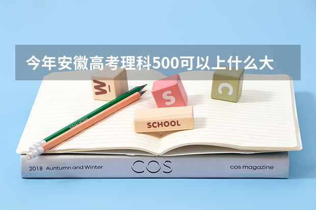 今年安徽高考理科500可以上什么大学