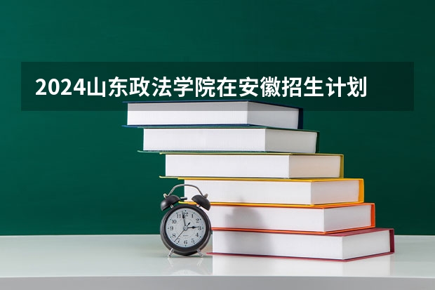2024山东政法学院在安徽招生计划表