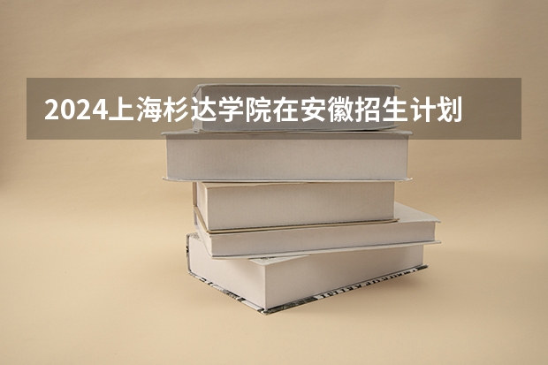 2024上海杉达学院在安徽招生计划表