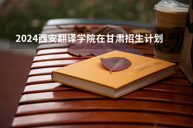 2024西安翻译学院在甘肃招生计划表