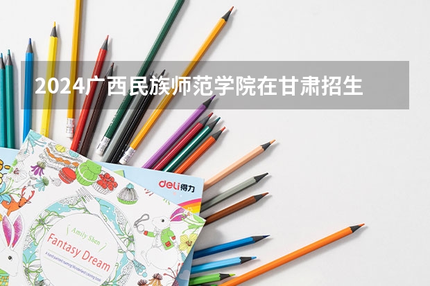 2024广西民族师范学院在甘肃招生计划表