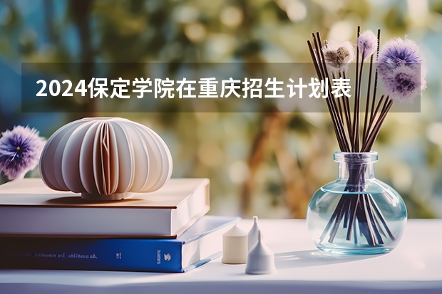 2024保定学院在重庆招生计划表