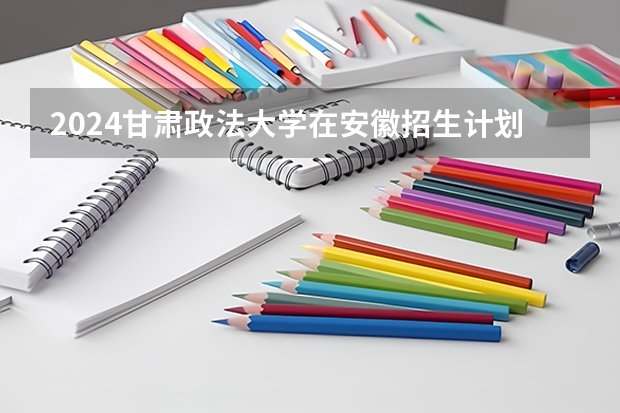 2024甘肃政法大学在安徽招生计划表