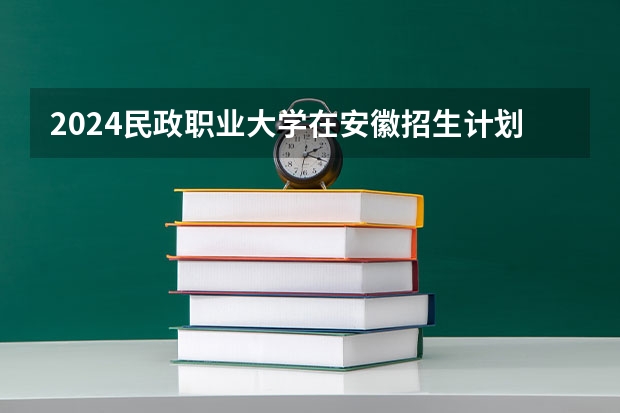 2024民政职业大学在安徽招生计划表
