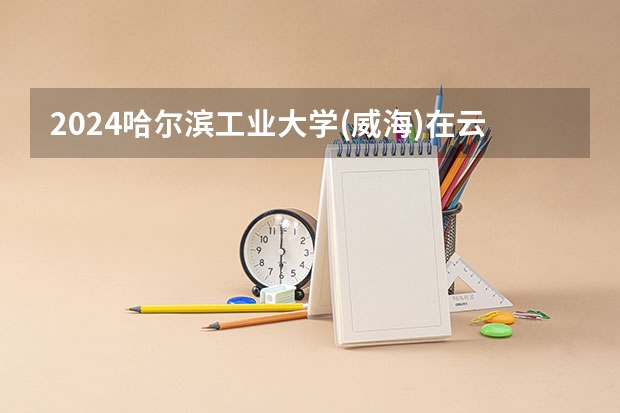 2024哈尔滨工业大学(威海)在云南招生计划表