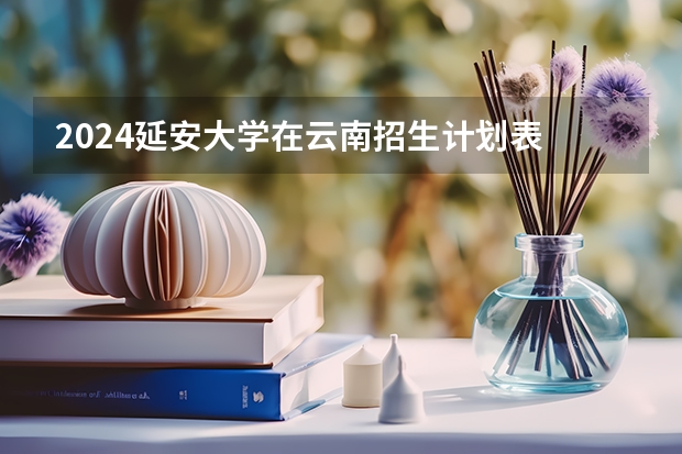 2024延安大学在云南招生计划表