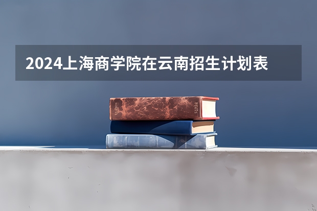 2024上海商学院在云南招生计划表