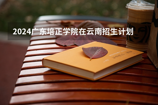 2024广东培正学院在云南招生计划表