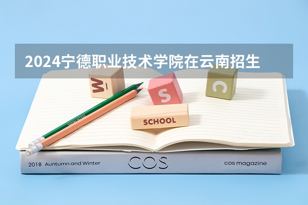2024宁德职业技术学院在云南招生计划表