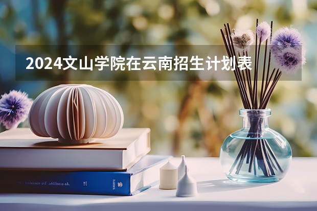 2024文山学院在云南招生计划表