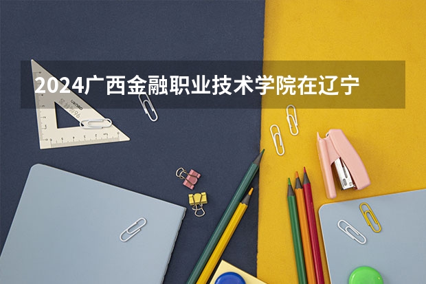 2024广西金融职业技术学院在辽宁招生计划表