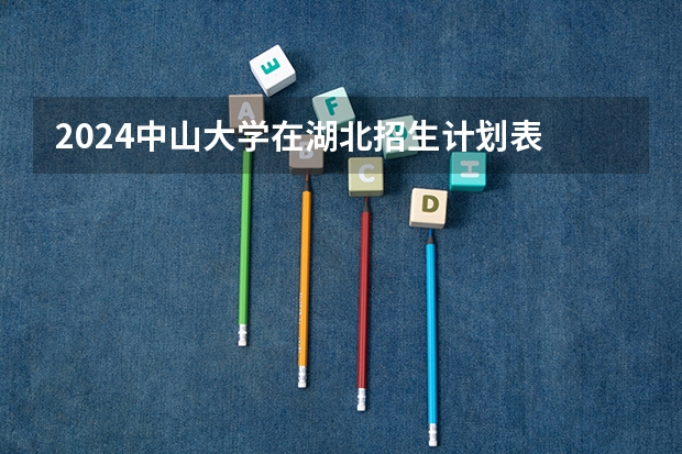 2024中山大学在湖北招生计划表