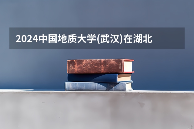 2024中国地质大学(武汉)在湖北招生计划表
