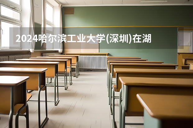 2024哈尔滨工业大学(深圳)在湖北招生计划表