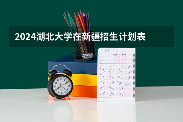2024湖北大学在新疆招生计划表