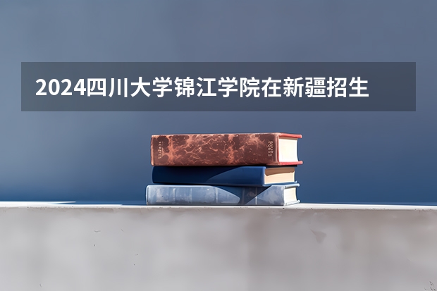 2024四川大学锦江学院在新疆招生计划表