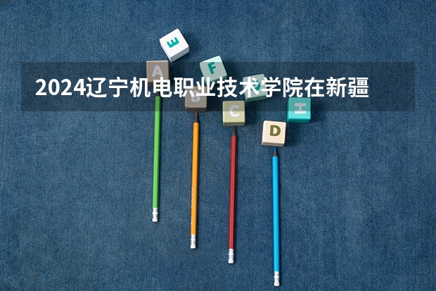 2024辽宁机电职业技术学院在新疆招生计划表