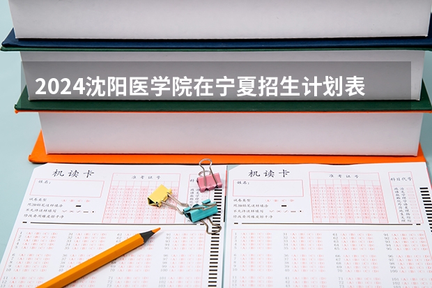2024沈阳医学院在宁夏招生计划表