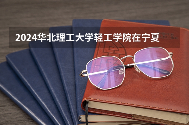 2024华北理工大学轻工学院在宁夏招生计划表