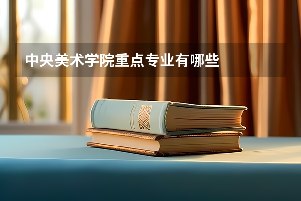 中央美术学院重点专业有哪些