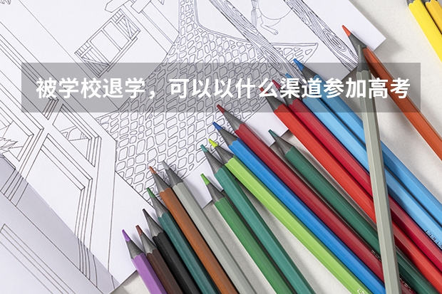 被学校退学，可以以什么渠道参加高考？
