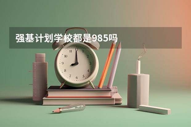 强基计划学校都是985吗