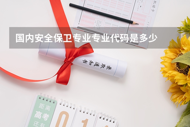 国内安全保卫专业专业代码是多少