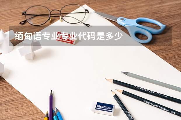缅甸语专业专业代码是多少