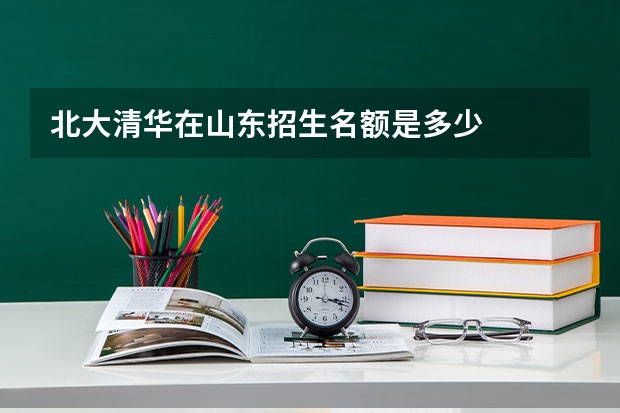 北大清华在山东招生名额是多少