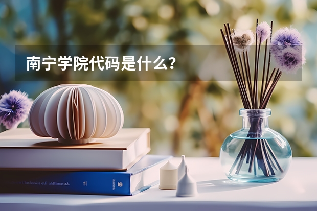 南宁学院代码是什么?