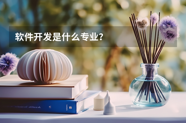 软件开发是什么专业？