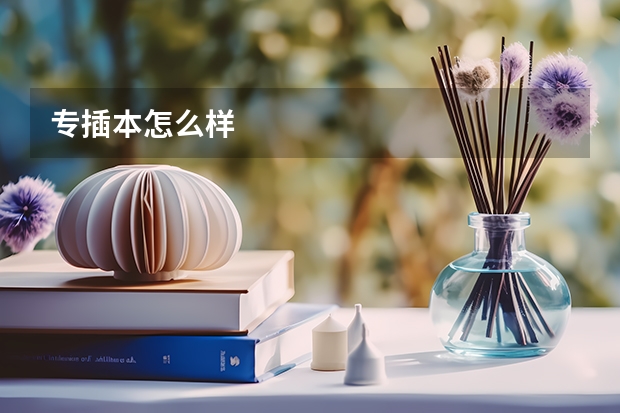 专插本怎么样