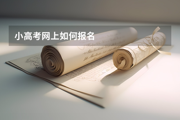 小高考网上如何报名