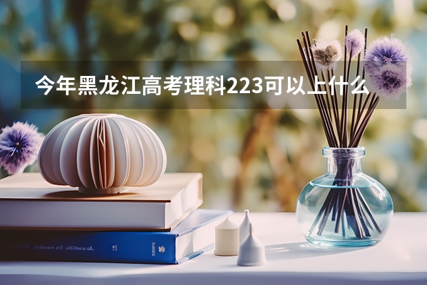 今年黑龙江高考理科223可以上什么大学