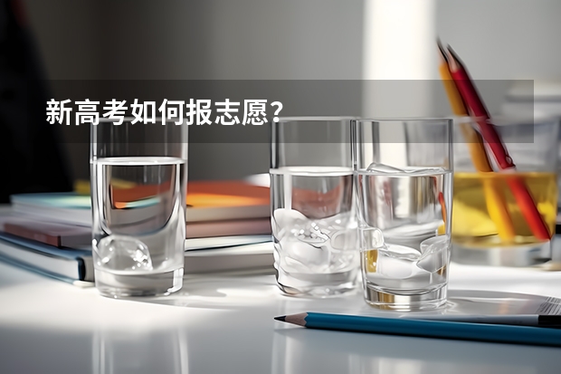 新高考如何报志愿？