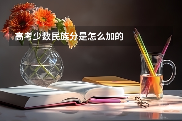 高考少数民族分是怎么加的